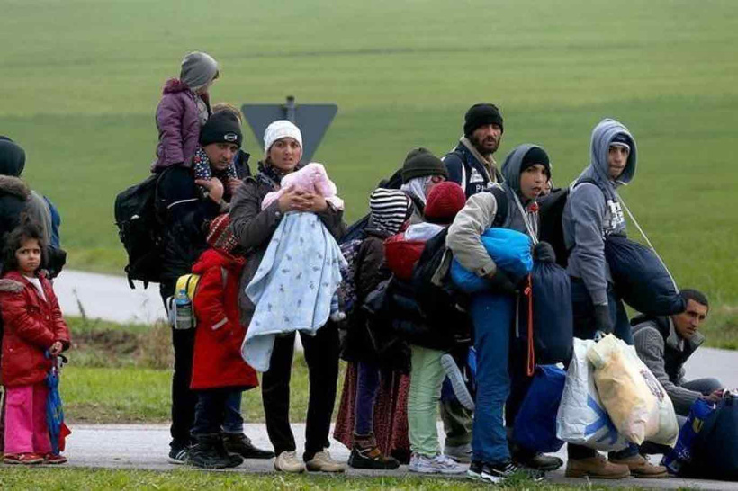 wildersi cildirtacak haber hollandada muhammed zirveye oynuyor 2