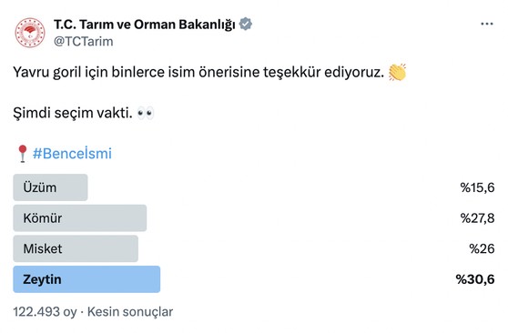 turkiye gunlerce onu konustu sevimli gorilin adi belli oldu 0 uhlbulnz