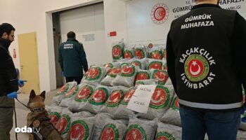 gumrukte 870 kilo uyusturucu ele gecirildi PyWzCXrR