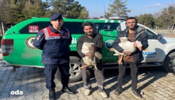 kaz dovusu yaptiranlara 72 bin lira ceza kesildi FRt41BgR