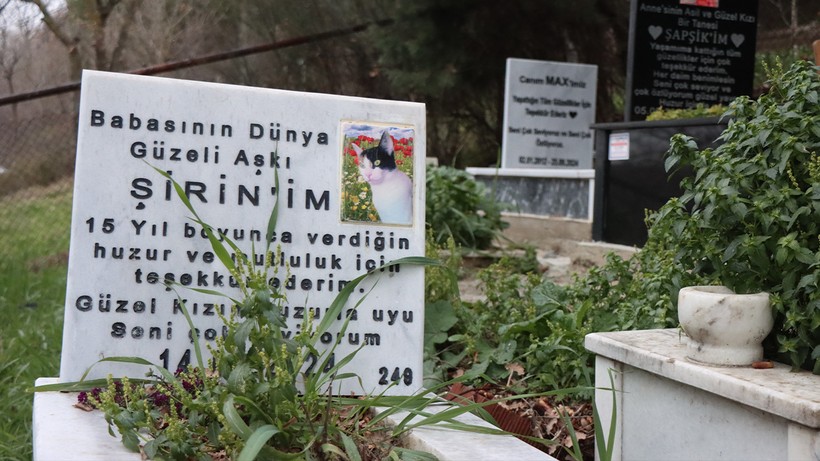 bursada evcil hayvan mezarligi yurek burkan goruntuler 2 6KPN8q6R