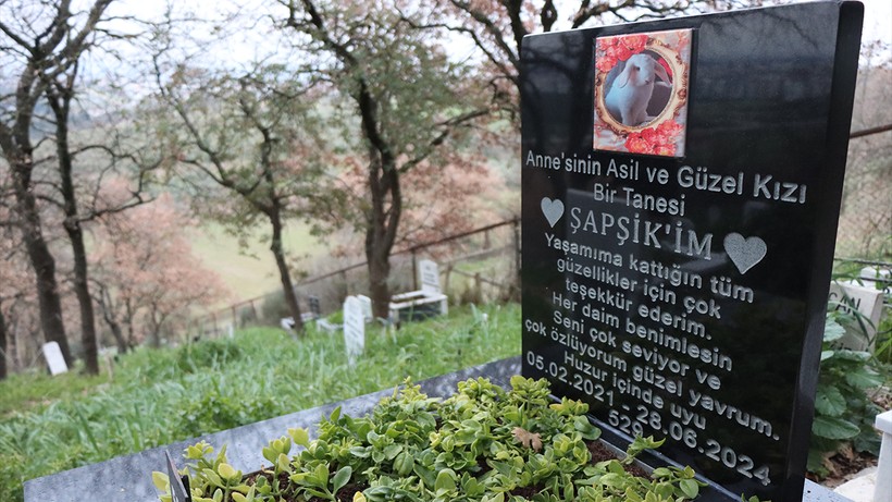bursada evcil hayvan mezarligi yurek burkan goruntuler 3 wVtigNeC