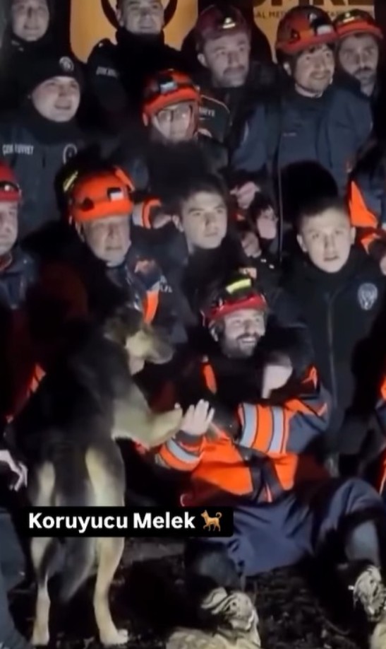 ece gurelin kayip dosyasi 3