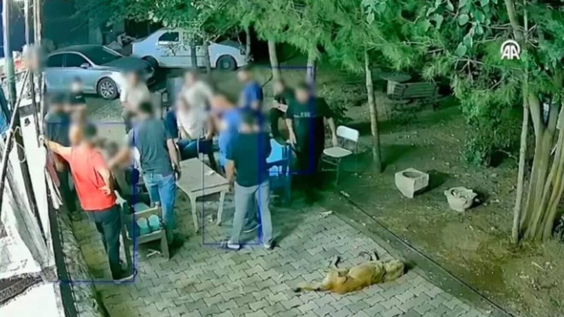 narin davasinda avukatlar harekete gecti iki tahliye sonrasi aileden yeni hamle 2 vLpXg683