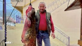 sinopta bir balikci 100 kilogramlik balik yakaladi SDf61aXH
