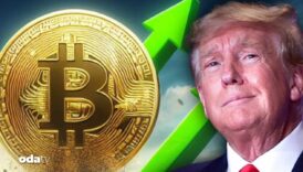 trump bitcoini kurtardi 1bbDhhIP