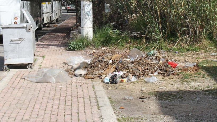 antalyada olu kediler inceleme baslatildi 1 UmwkSGW9