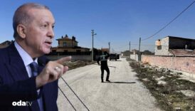erdogan ve yerlikayadan sokak kopekleri aciklamasi valilere talimat verildi gpBnvAJv
