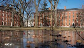 harvard universitesinden 200 bin dolar karari R5QKfVJD