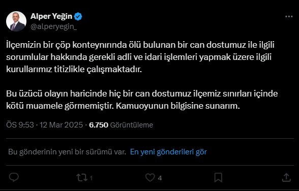 istanbulda kopek katliami coplerden topladilar 0 k2EQtres