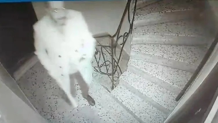 komsusu kapiya dayandi mermi birakti kanini dokecegim 0 c7C9R7hQ