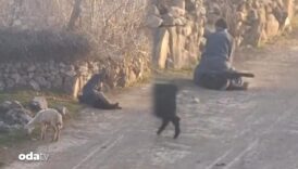 koyuna acimasizca vurdu aci bagrislari yurek burktu gozaltina alindi uEz4ZHGv