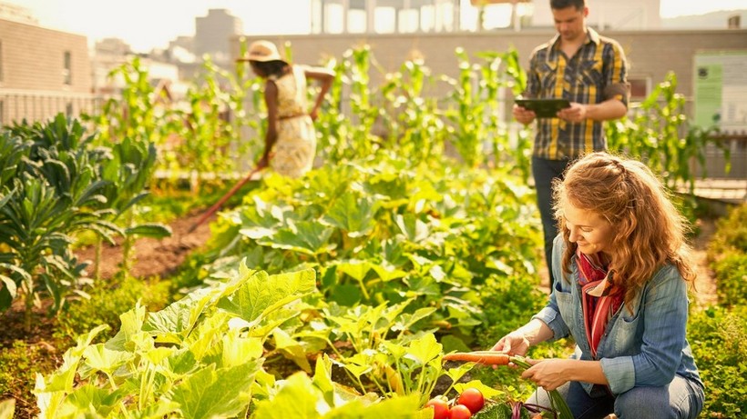 mavi ve beyaz yakalilara yeni alternatif yesil yaka araniyor ortalama maas 150 bin tl IhDtAI3F
