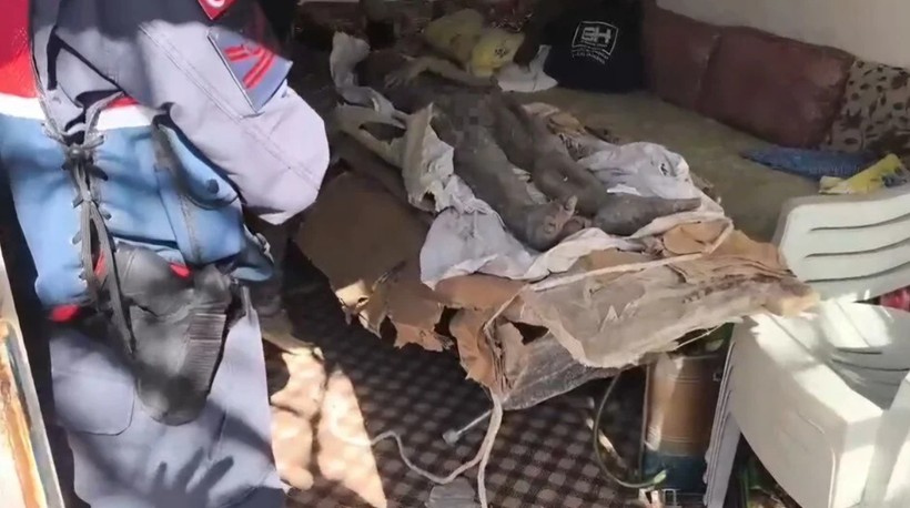 mumya operasyonunun perde arkasi ortaya cikti 2 M6cgT9Fd