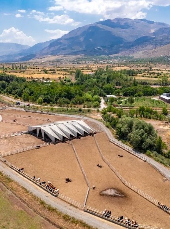 unlu yonetmen sanattan kazandi erzincanda ciftlik kurdu 3 KyJr4IZ6